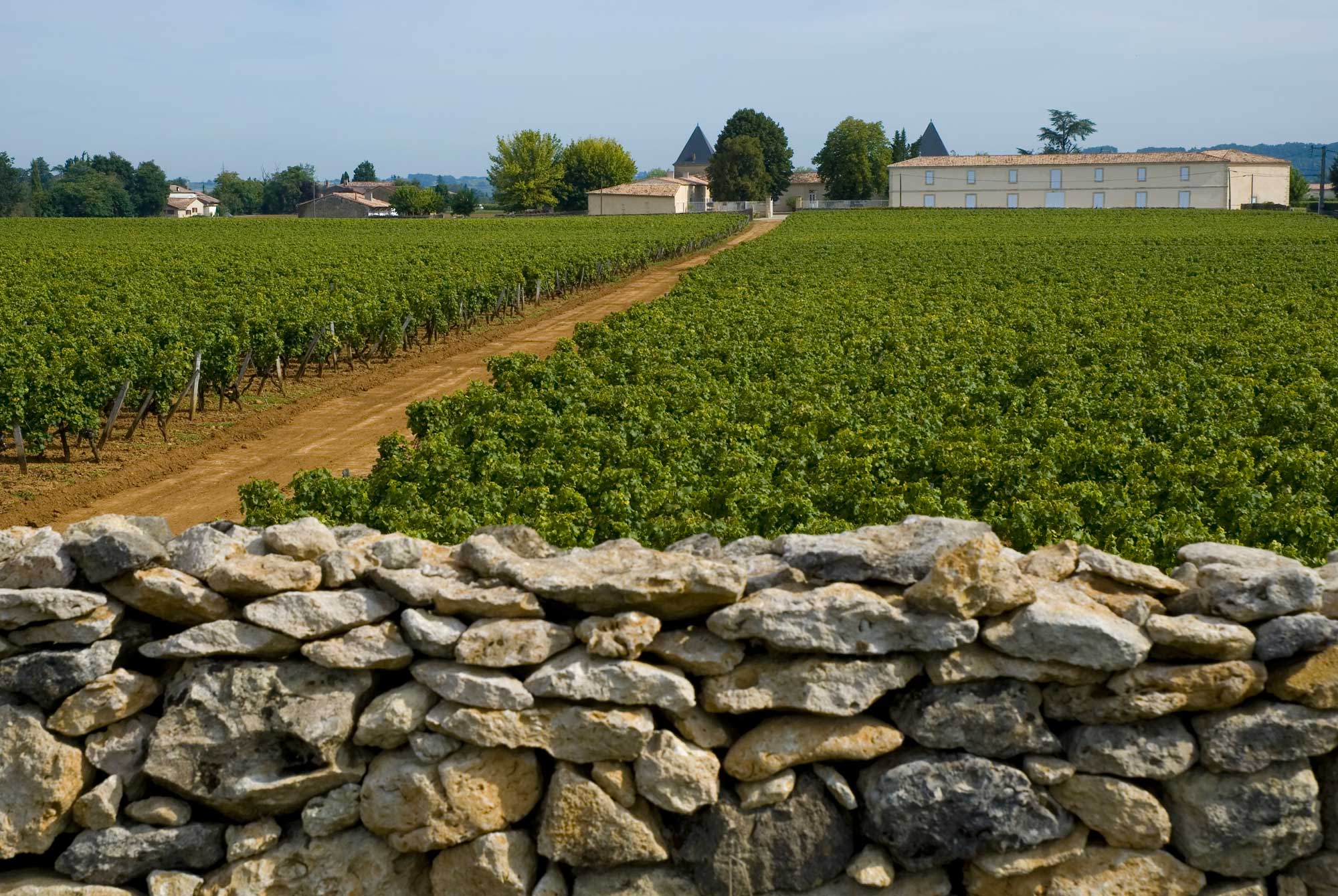 How to identify Sauternes in a blind wine tasting?