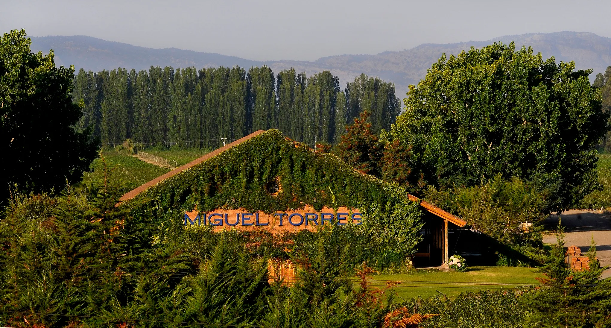 How to identify Cabernet Sauvignon from Chile in a blind tasting?