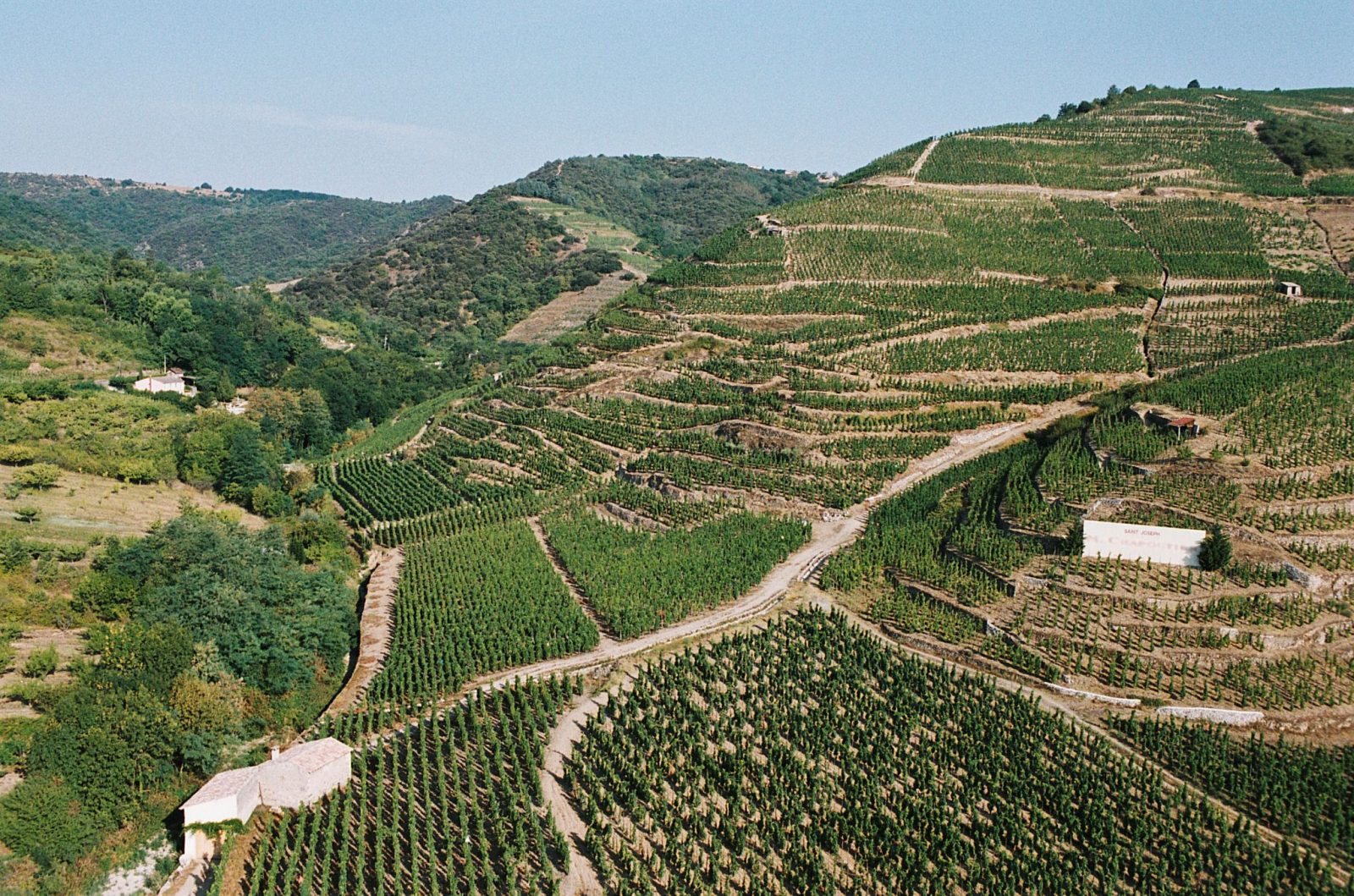 How to identify Marsanne & Roussanne from the Northern Rhône in a blind wine tasting?